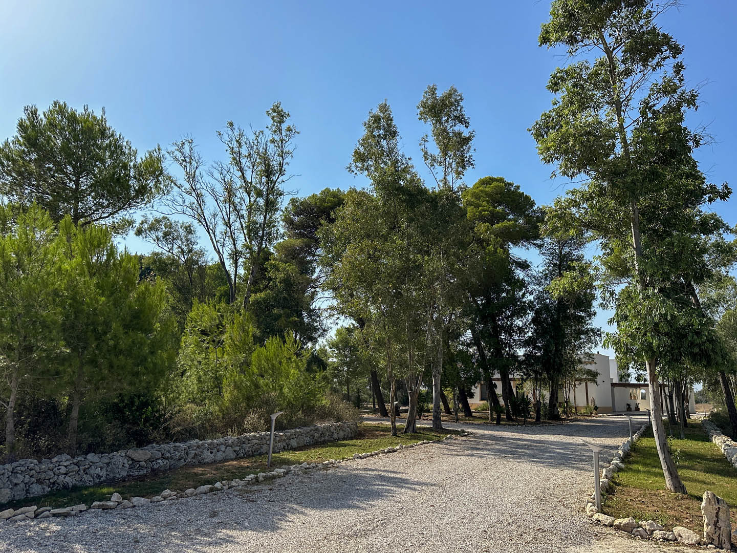 esterni-masseria.lu-monaco (14)