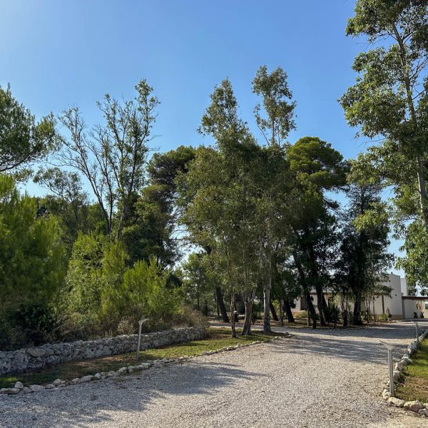 esterni-masseria.lu-monaco (14)