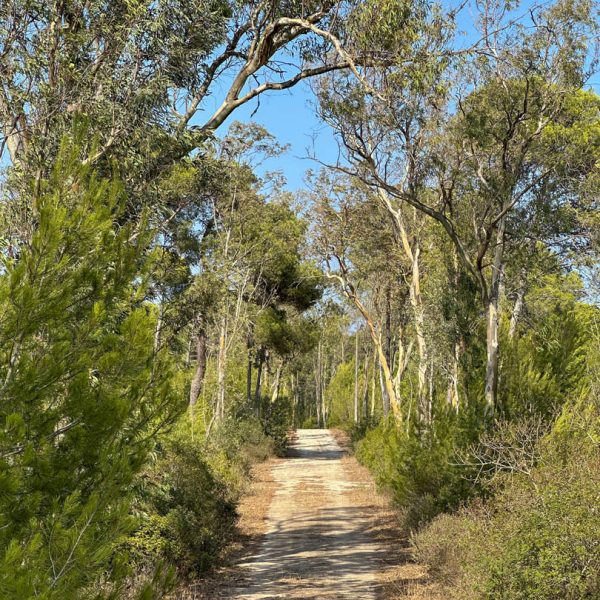 esterni-masseria.lu-monaco (17)