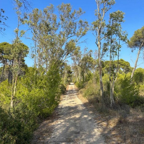 esterni-masseria.lu-monaco (18)